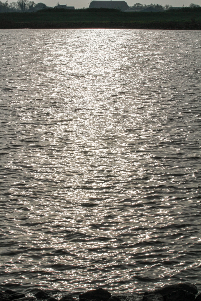 20231122-4581-34.jpg